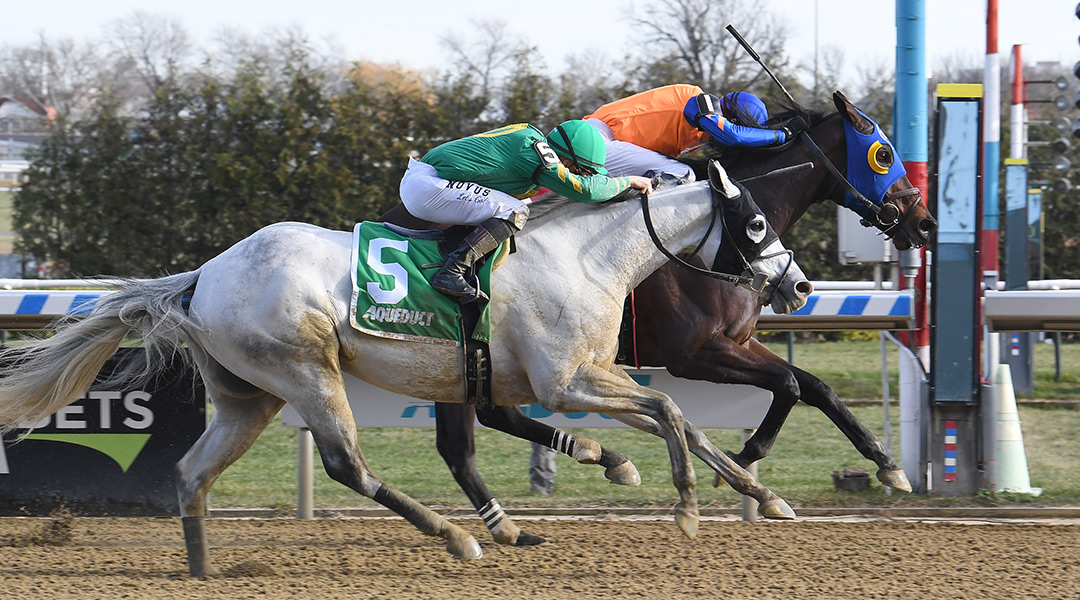 Yankee Division (inside) beats Seven Lillies in a Dec. 17 allowance at Aqueduct