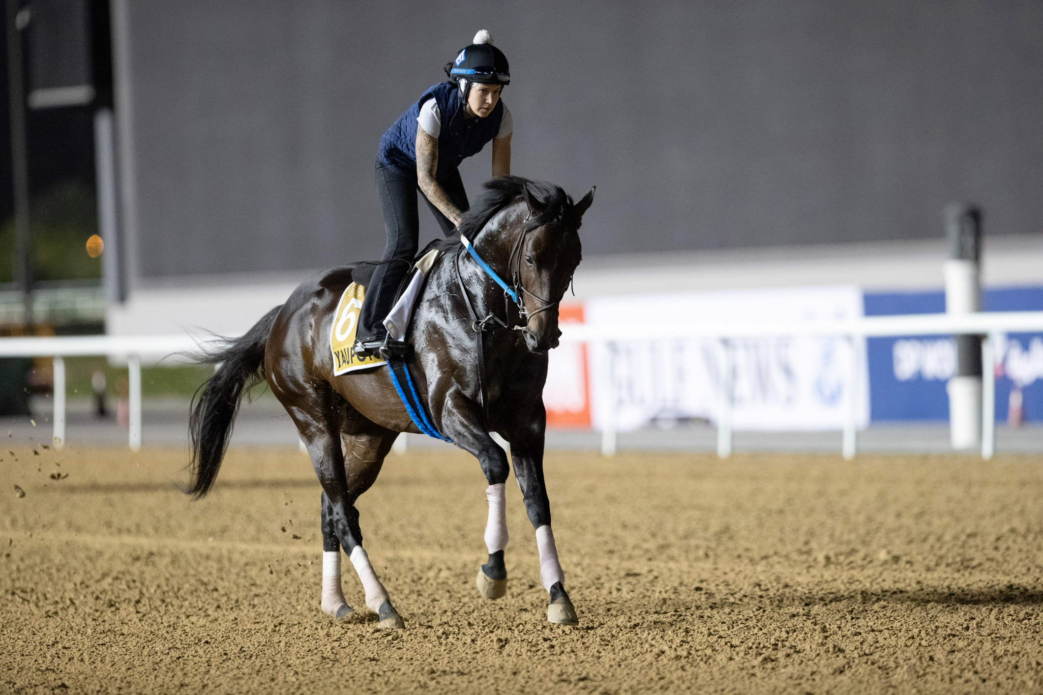 Yaupon trains at Meydan Racetrack on March 21