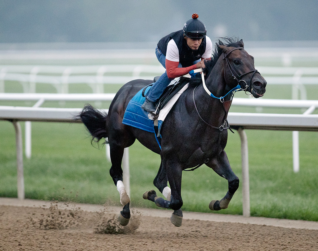 Yaupon trains at Saratoga Race Course on July 20