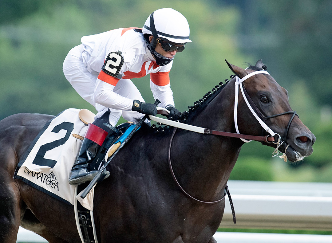 Yaupon wins the 2020 Amsterdam Stakes at Saratoga Race Course