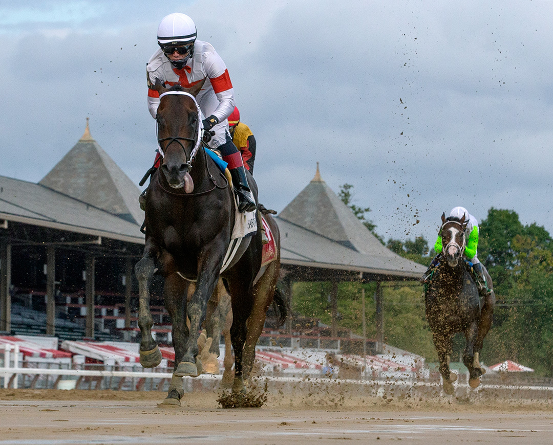 Yaupon wins the Amsterdam Stakes at Saratoga Race Course