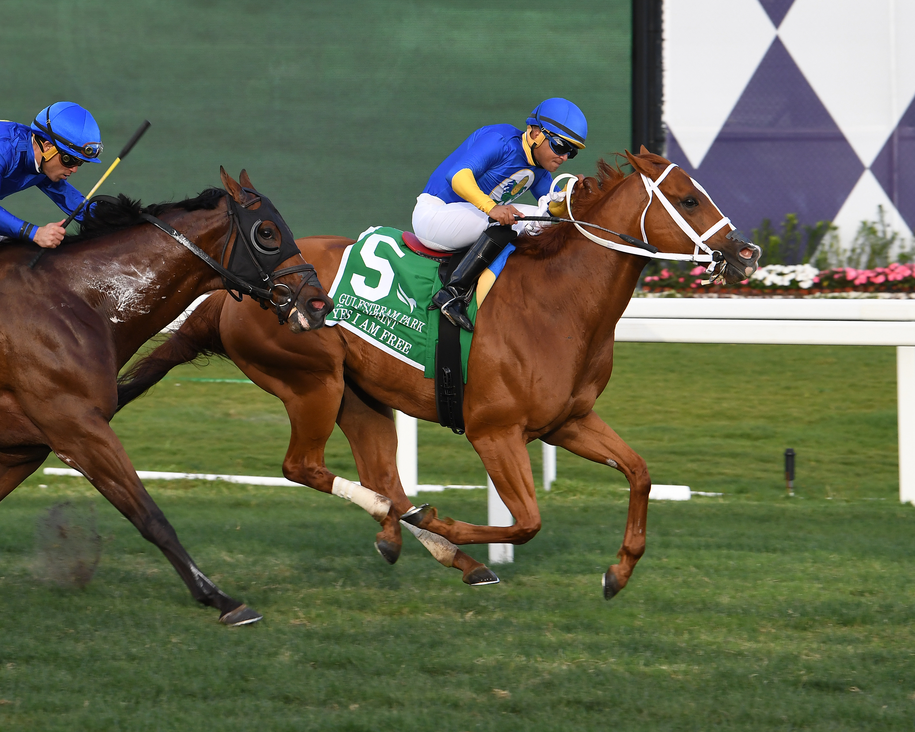 Yes I Am Free - GP Turf Sprint 2023