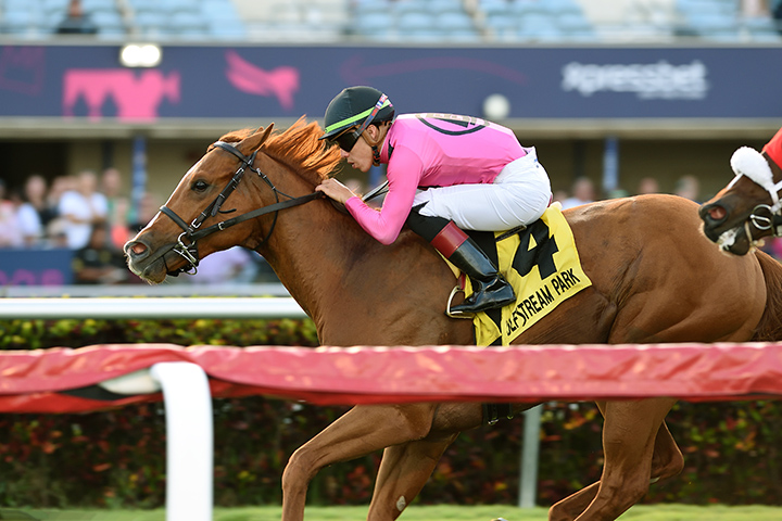 Yes I Am Free wins the Texas Glitter Stakes