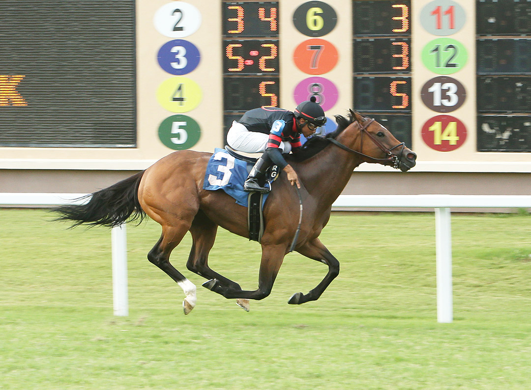 Yes It's Ginger wins the 2021 Chicken Fried Stakes at Lone Star