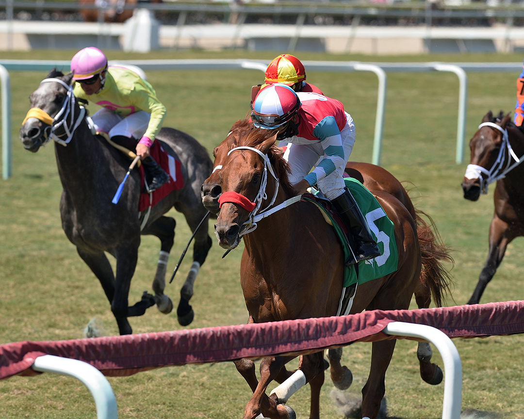 Yes This Time wins a March 20 optional claiming race at Gulfstream Park