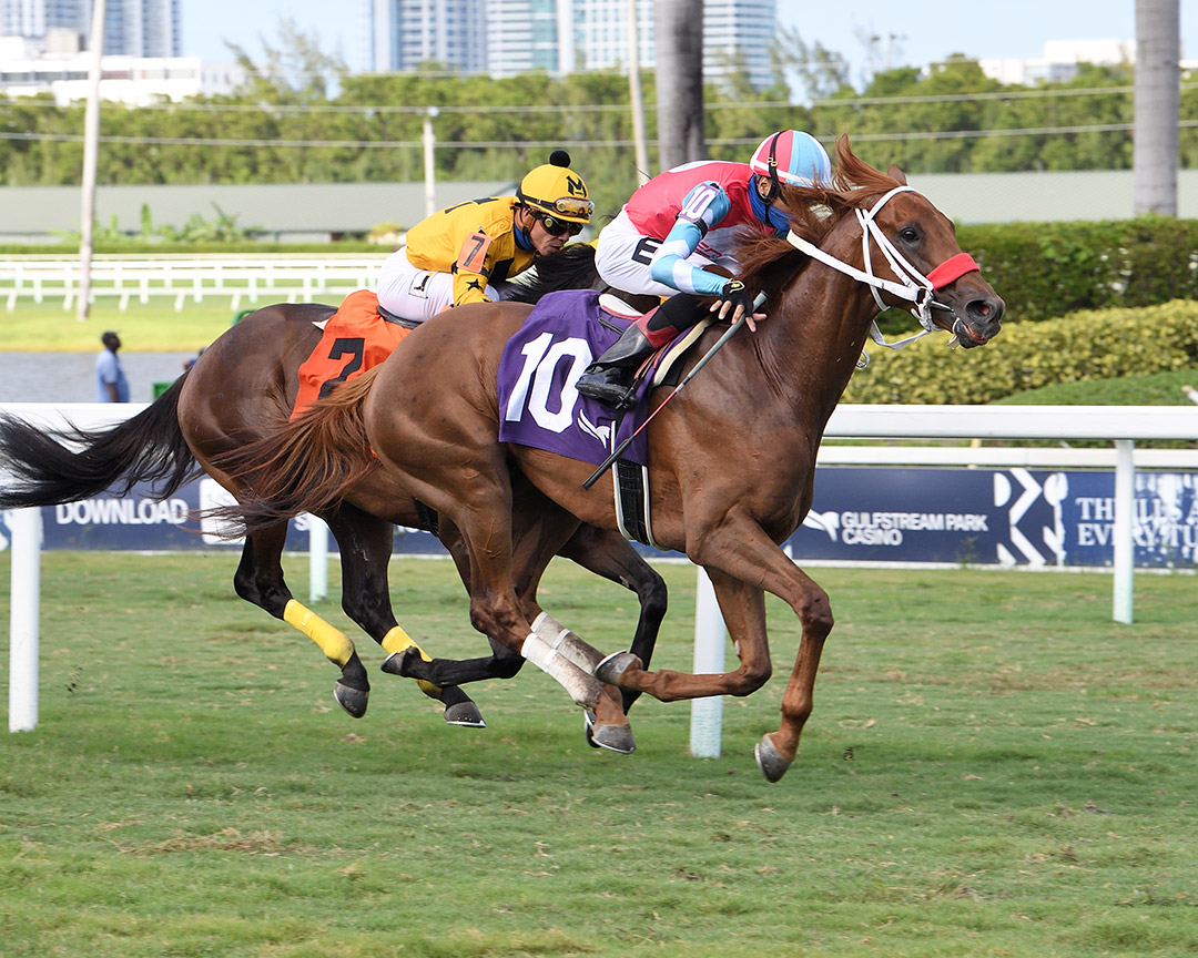 Yes This Time wins the 2021 English Channel Stakes at Gulfstream