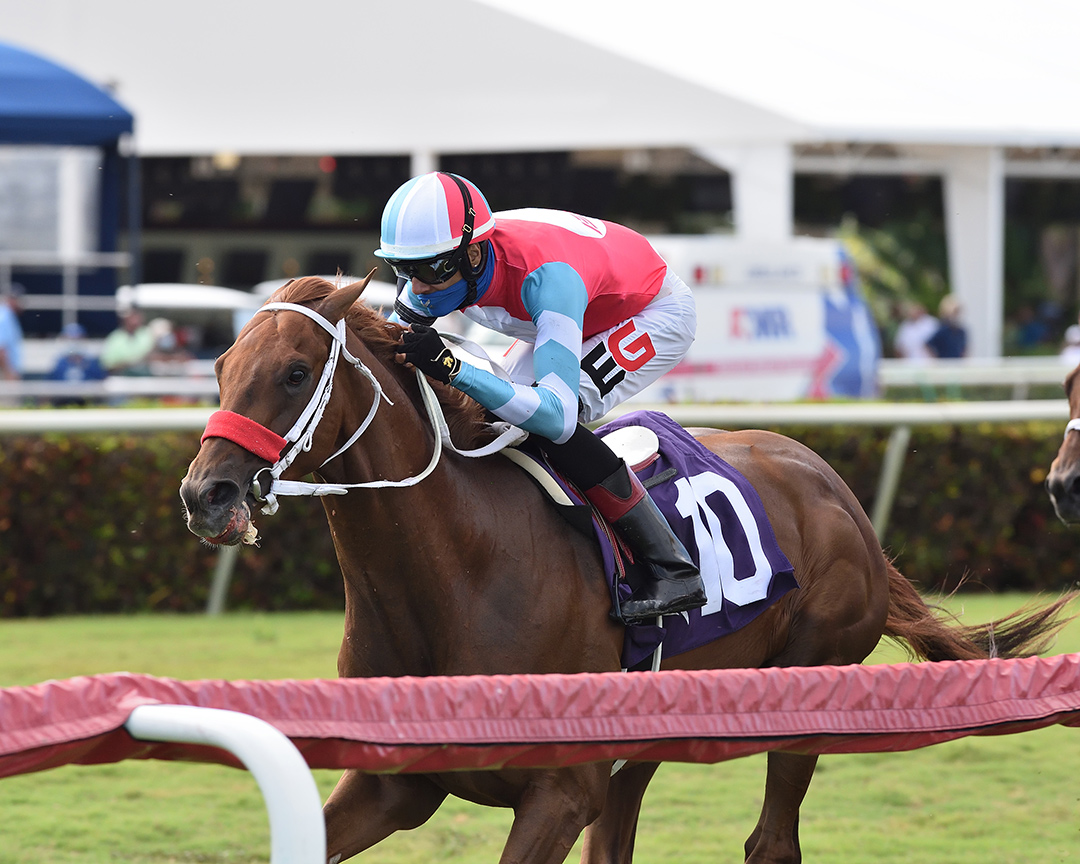 Yes This Time wins the 2021 English Channel Stakes at Gulfstream
