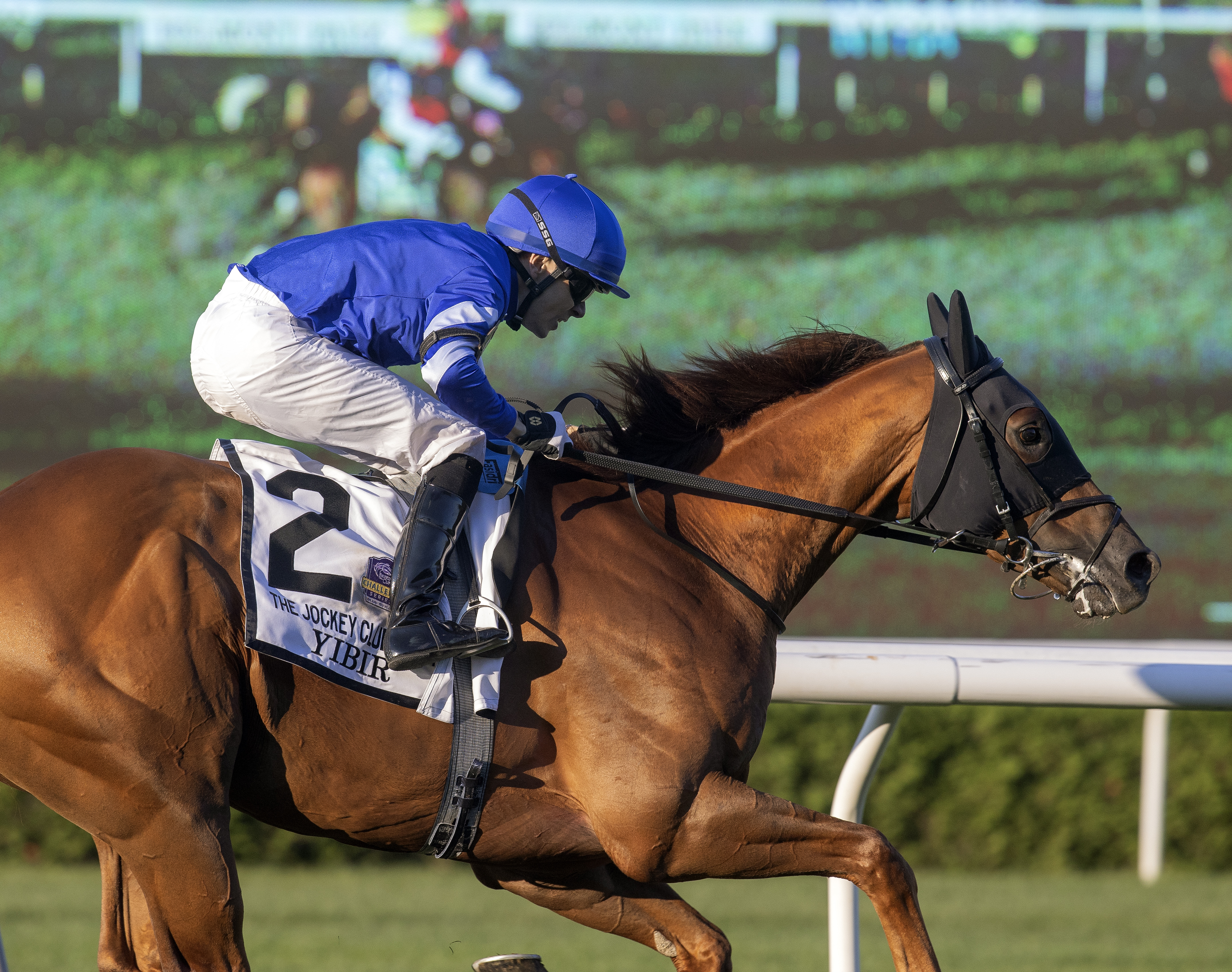 Yibir - Jockey Club Derby 2021
