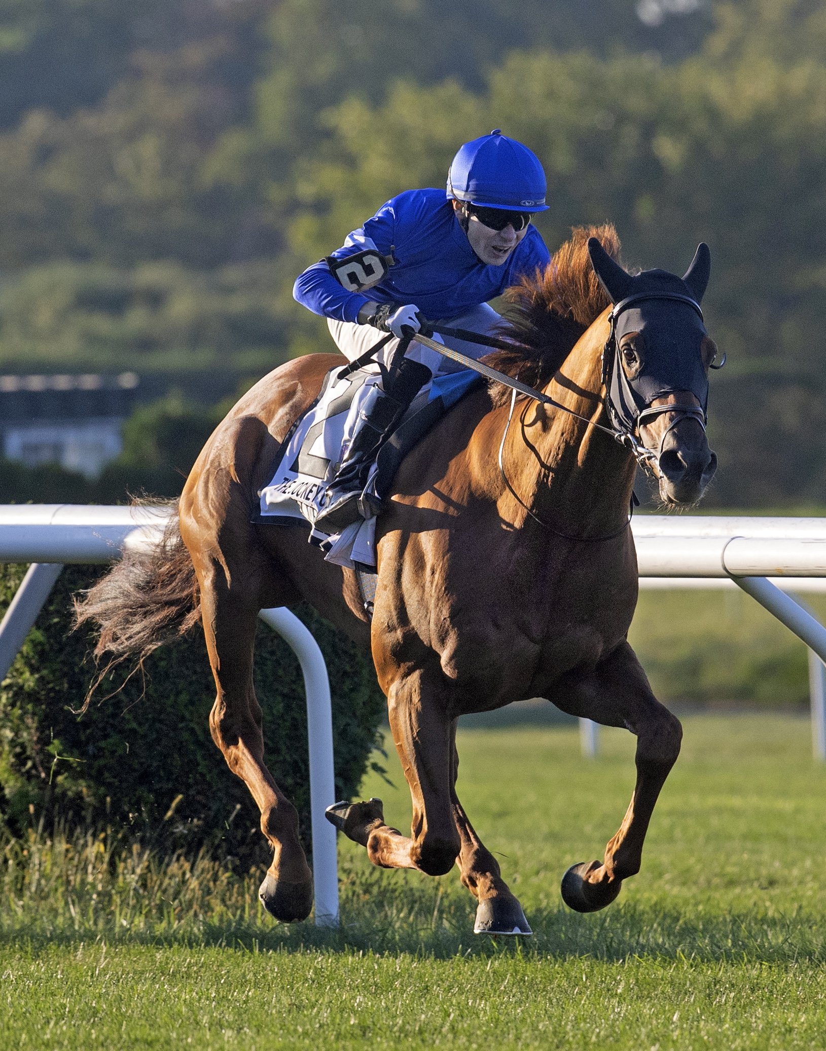 Yibir wins Jockey Club Derby 9-18-2021