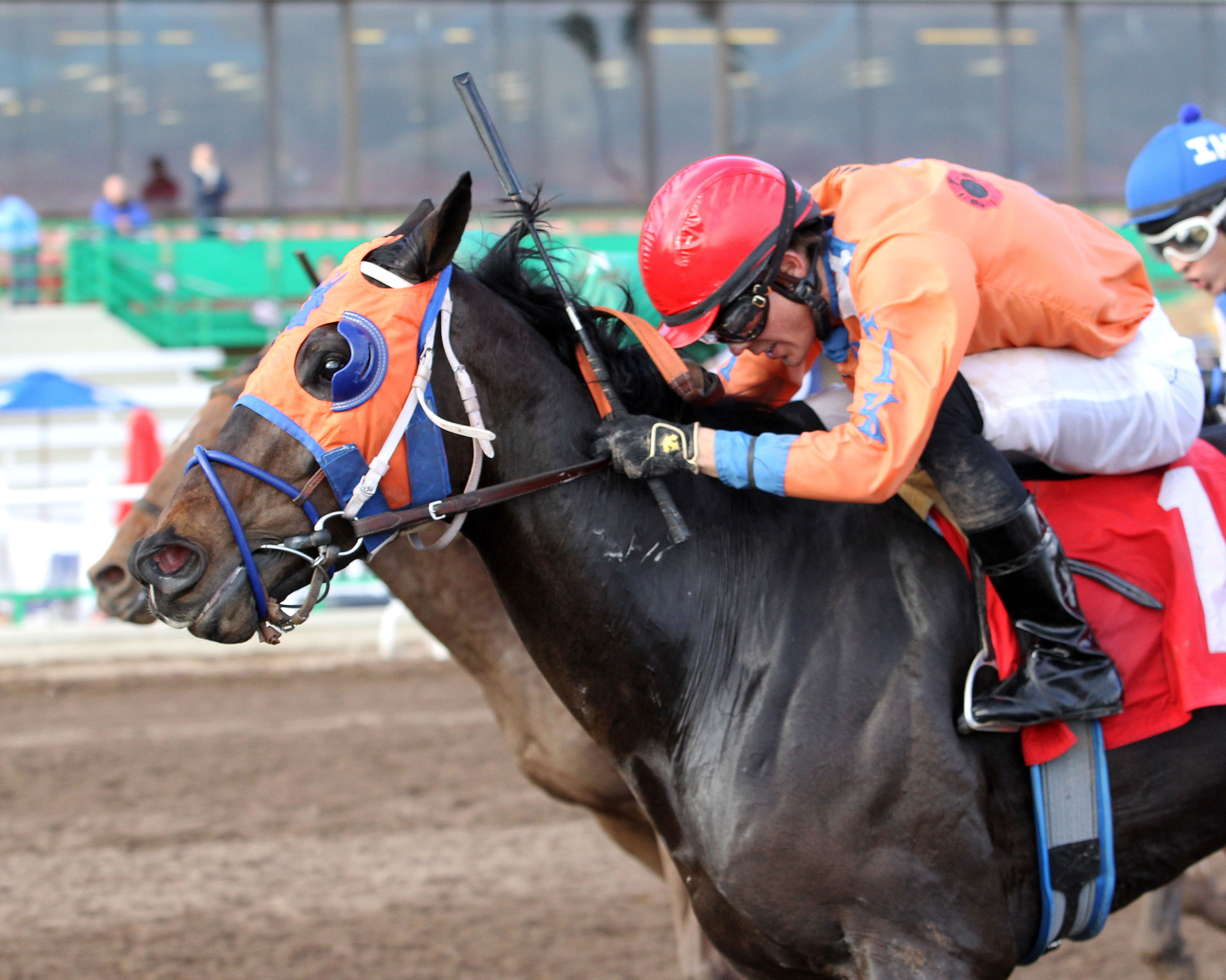 Yo Y Me wins the Lost In The Fog Juvenile Stakes