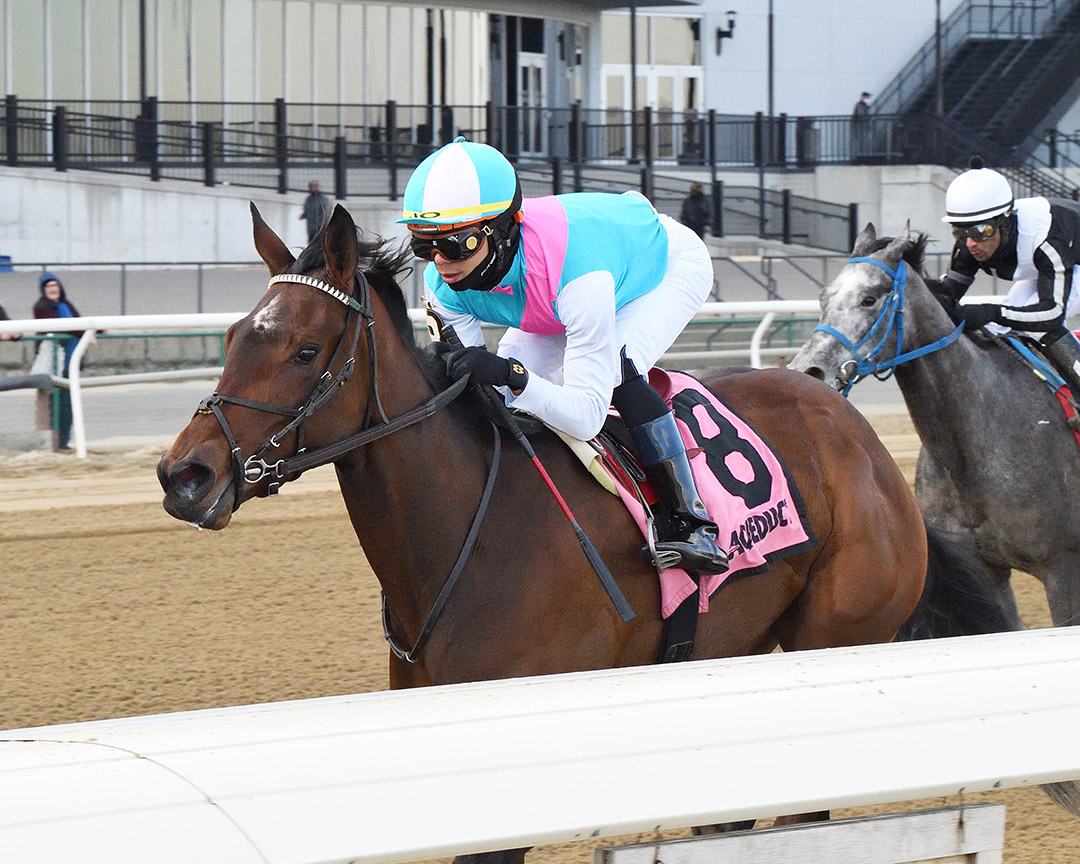 Yo Cuz wins the 2022 Maddie May Stakes at Aqueduct Racetrack