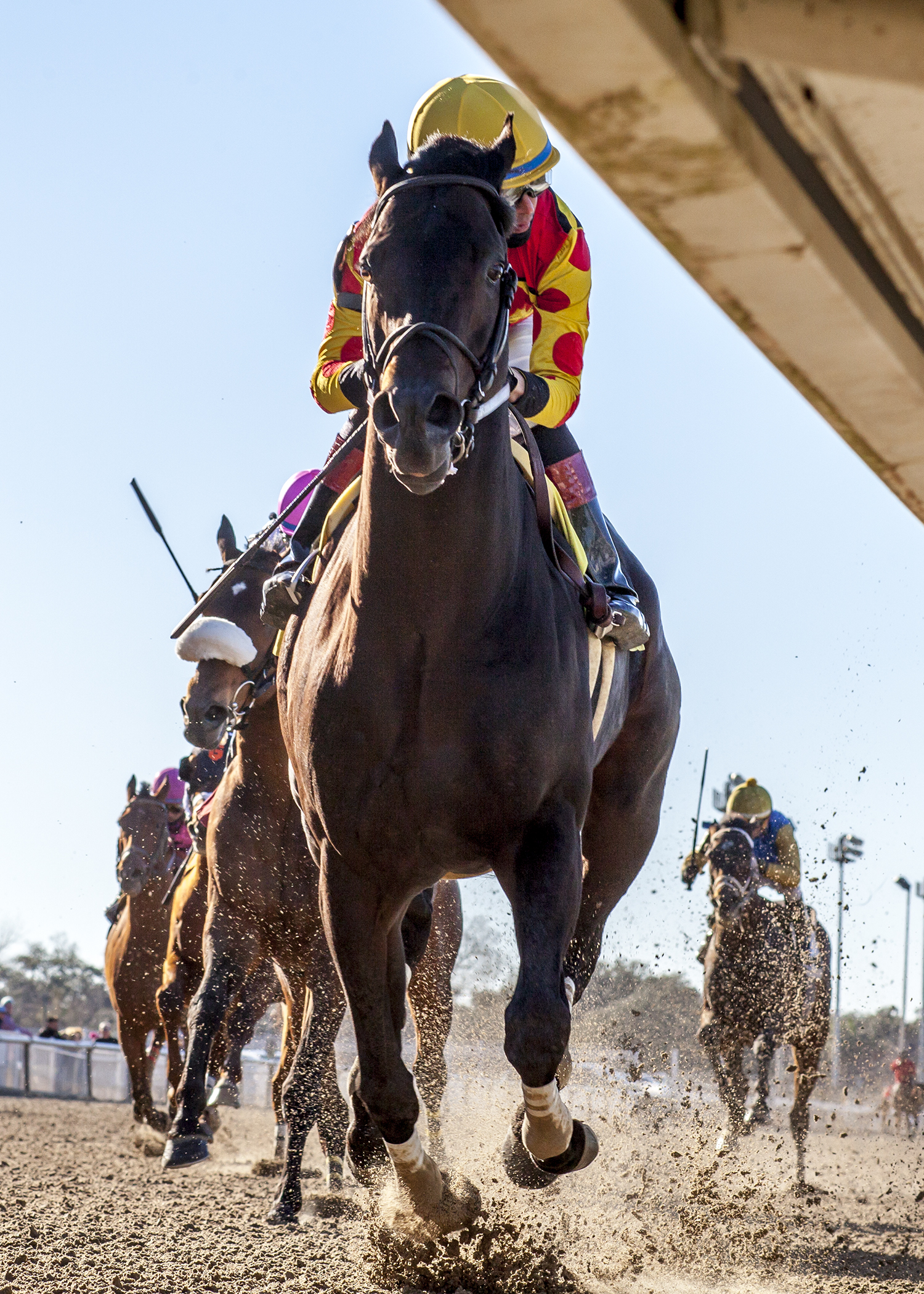 Yockey's Warrior wins Kenner Stakes