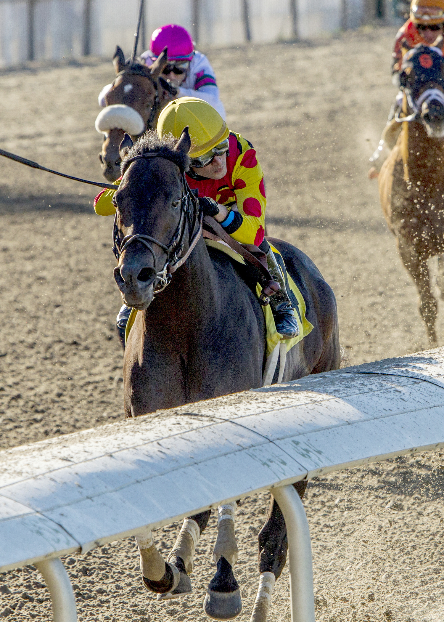 Yockey's Warrior wins the 2017 Thanksgiving Handicap