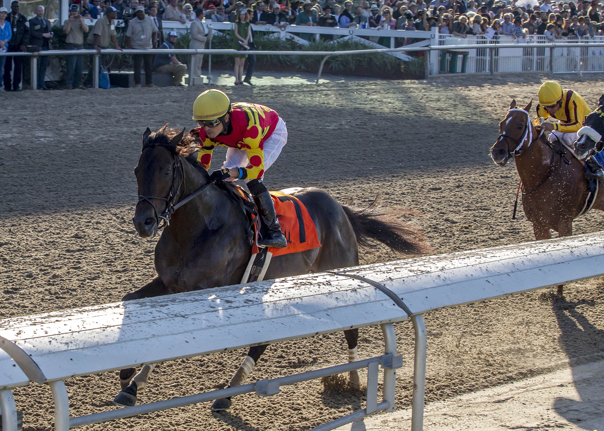 Yockey's Warrior wins the 2016 Thanksgiving Handicap