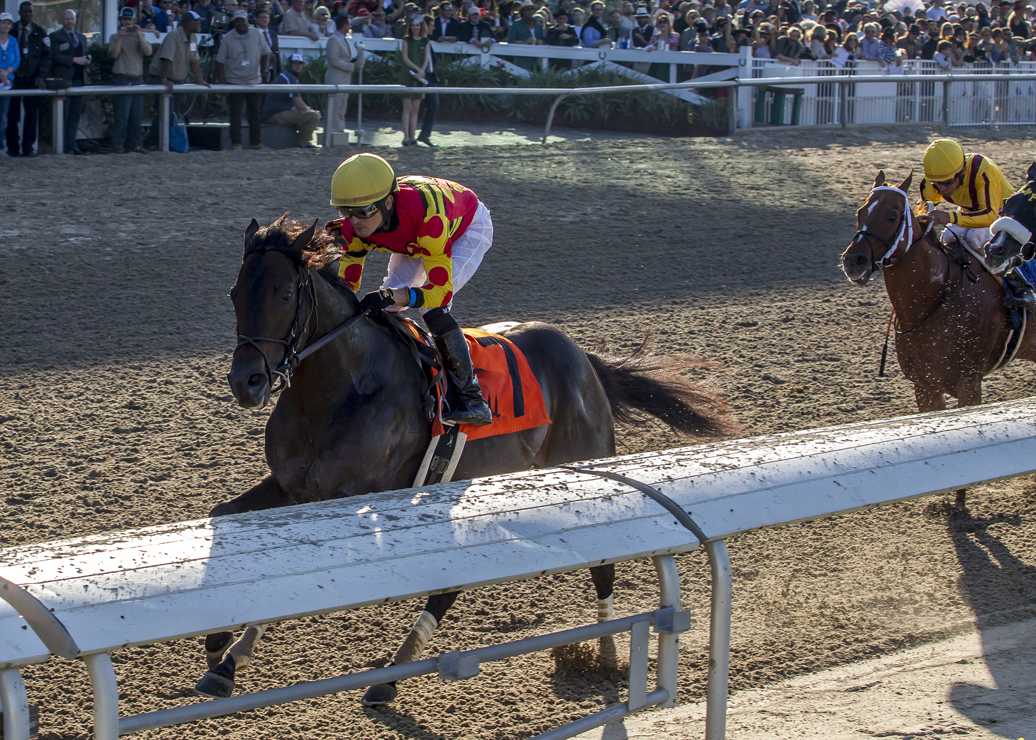 Yockey's Warrior