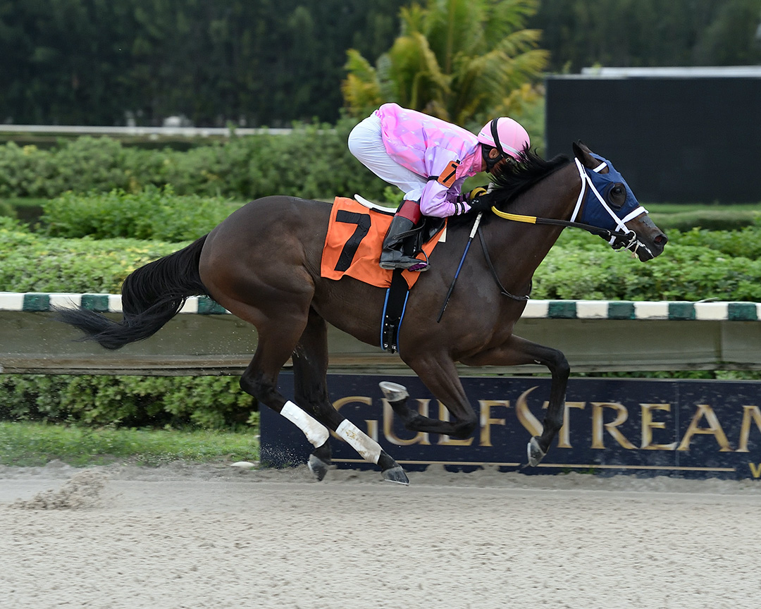 Yodel E. A. Who wins a November 2019 claiming race at Gulfstream Park West
