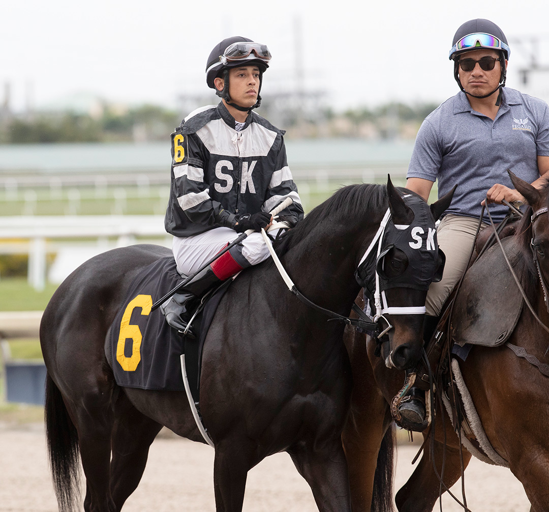Yolanda's Pride at Gulfstream Park, February 2020