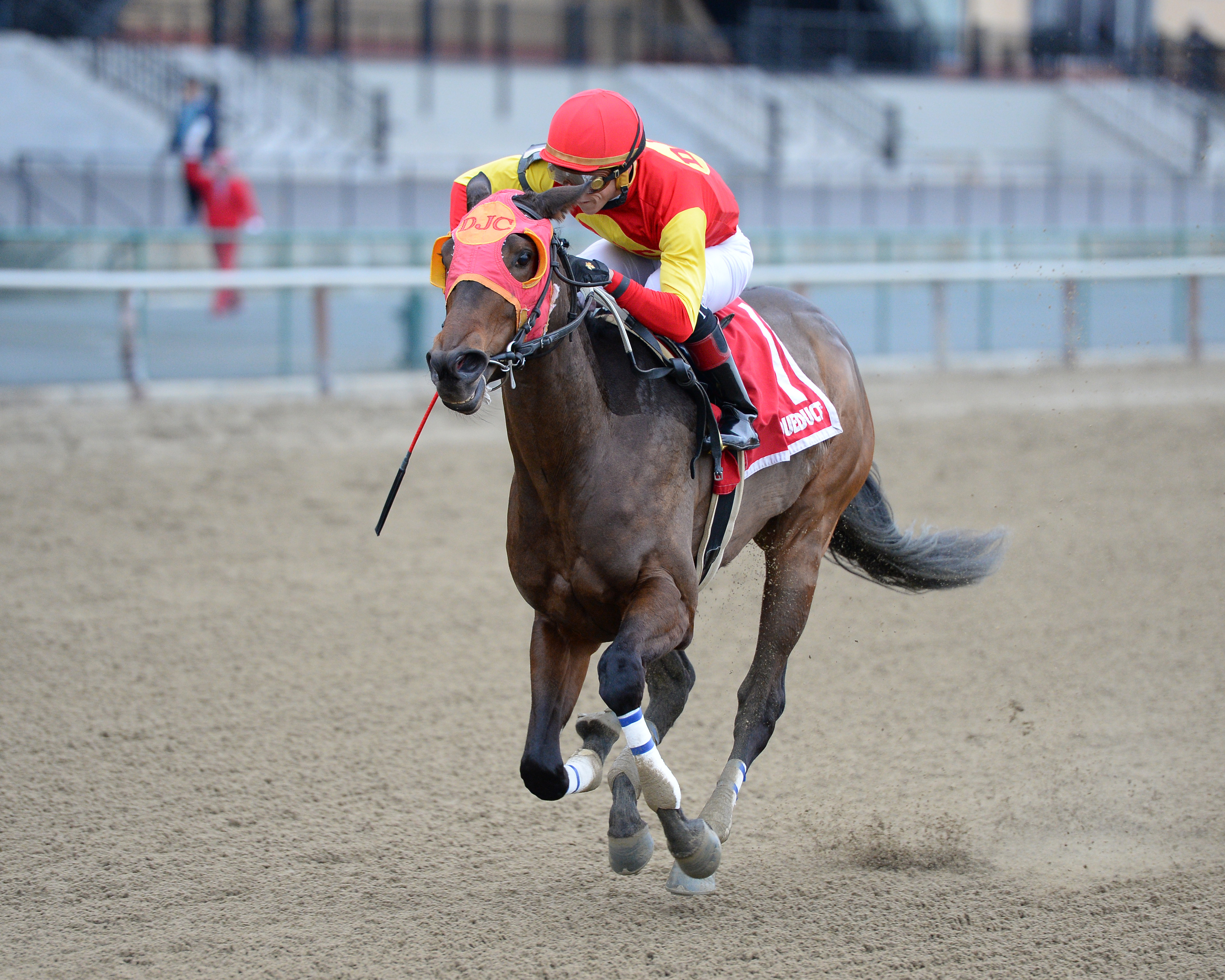 Yorkiepoo Princess wins the Furlough Stakes