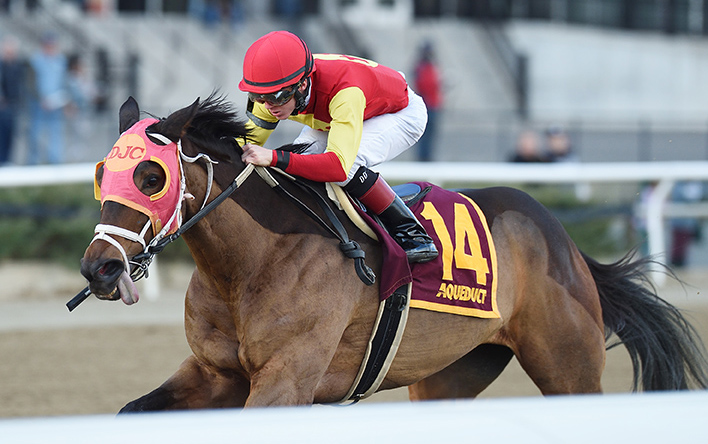 Yorkiepoo Princess wins the 2018 Autumn Days Stakes