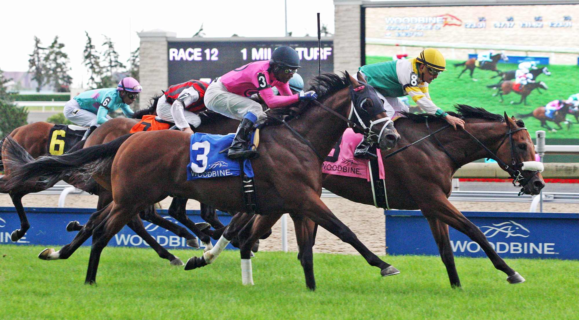 Conquest Lemonraid finishes second in the 2017 Charlie Barley