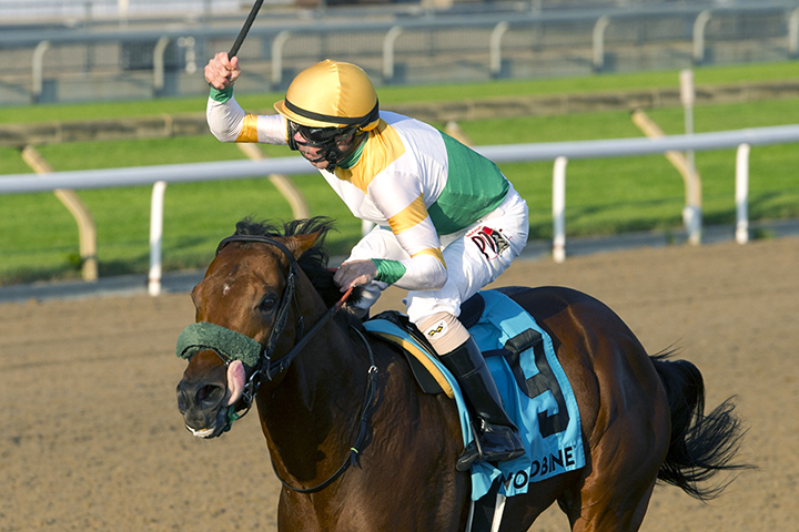 Yorkton wins the 2018 Bold Venture Stakes