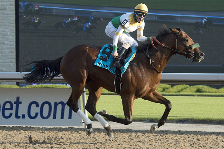 Yorkton wins the 2018 Bold Venture Stakes