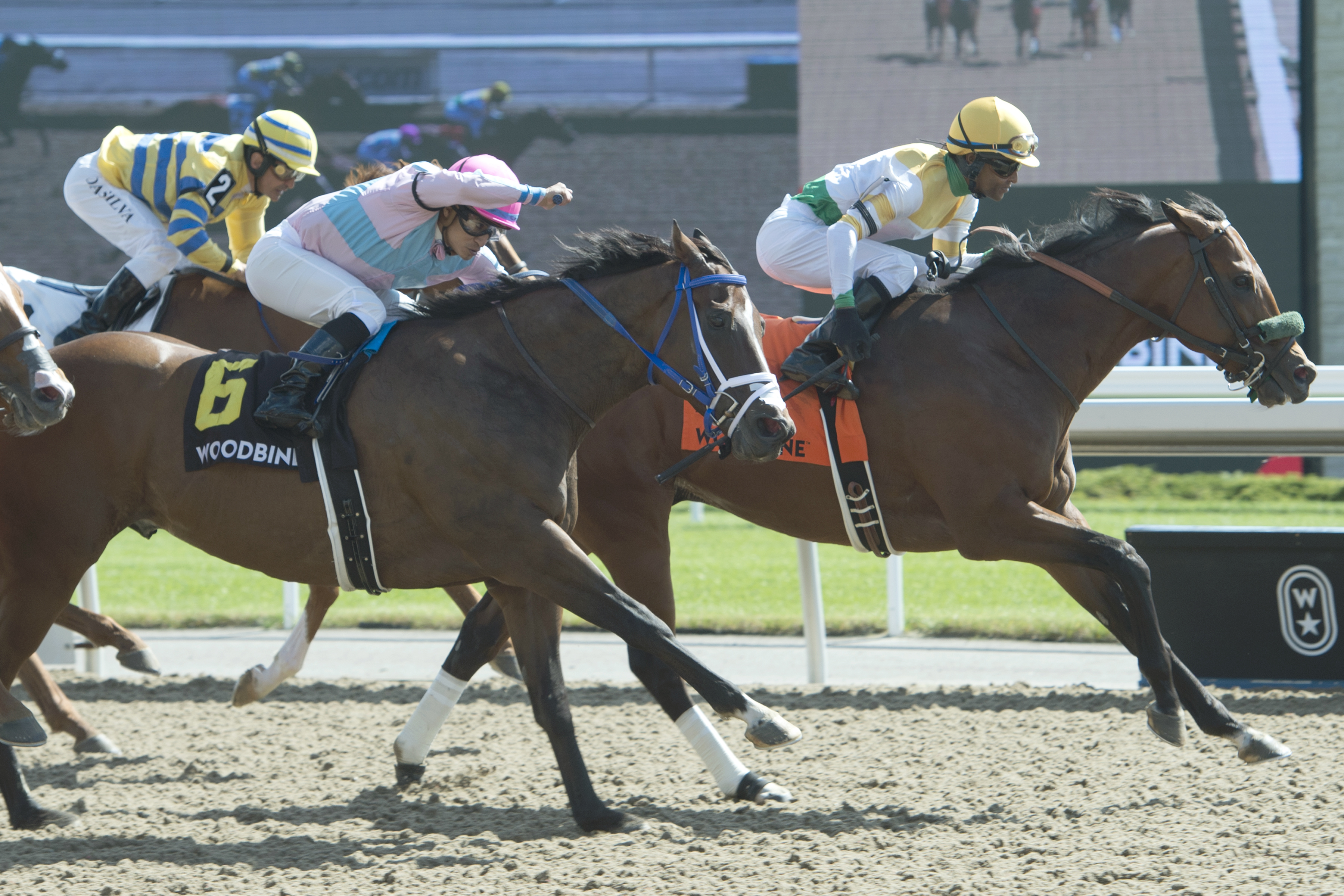 Yorkton wins the 2019 Bold Venture Stakes