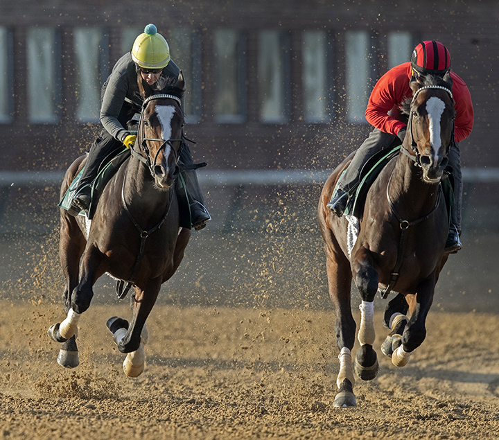 Yoshida works with Morocco at Churchill on Oct. 22