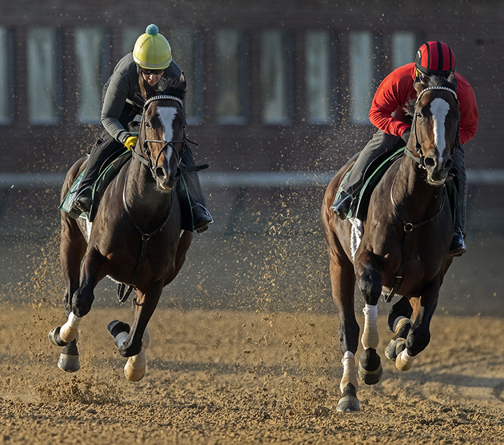 Morocco (right) trains with Yoshida at Churchill in October 2018