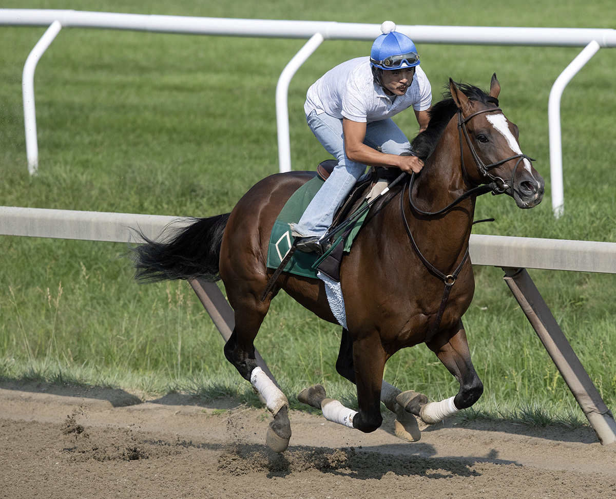 Yoshida trains on dirt on Aug. 24