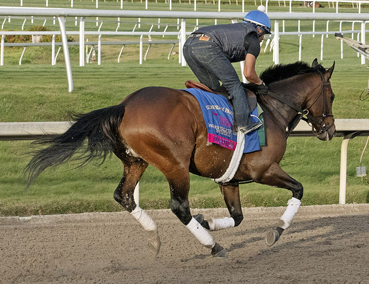 Yoshida trains at Gulfstream on 1.24.19