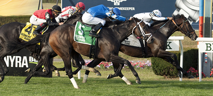 Lucullan (5) finishes second in the 2017 Hill Prince Stakes at Belmont Park