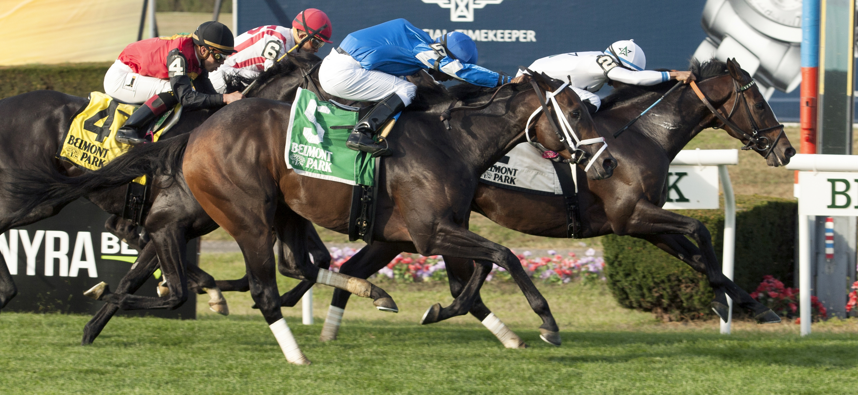 Lucullan finishes second in the Hill Prince Stakes