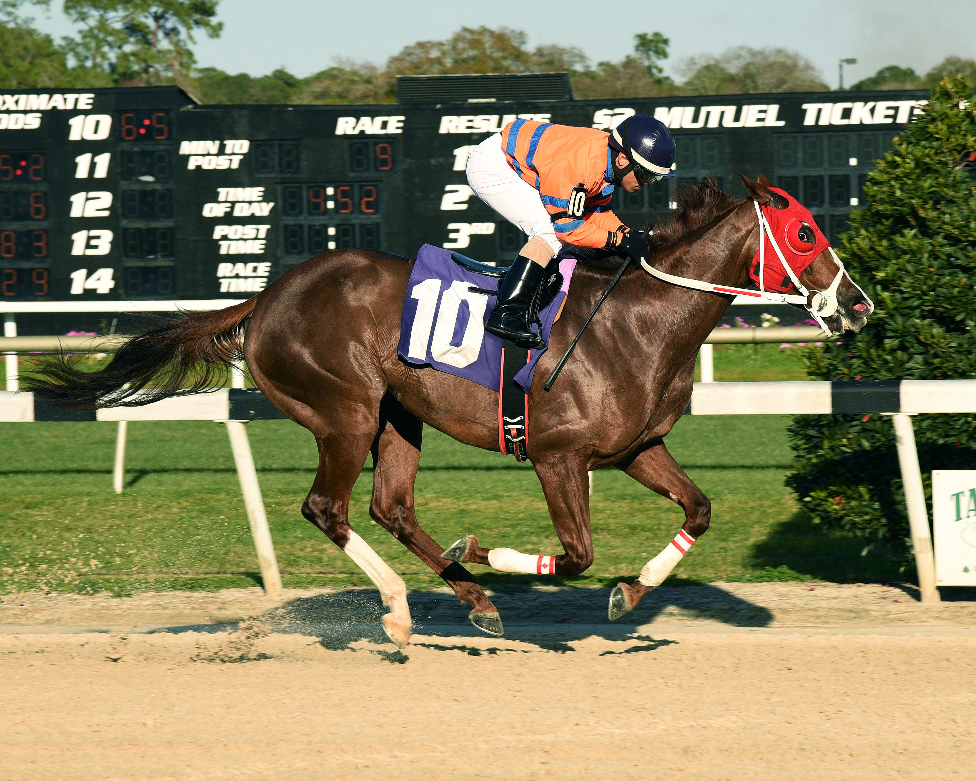 You Bought Her wins the Minaret Stakes
