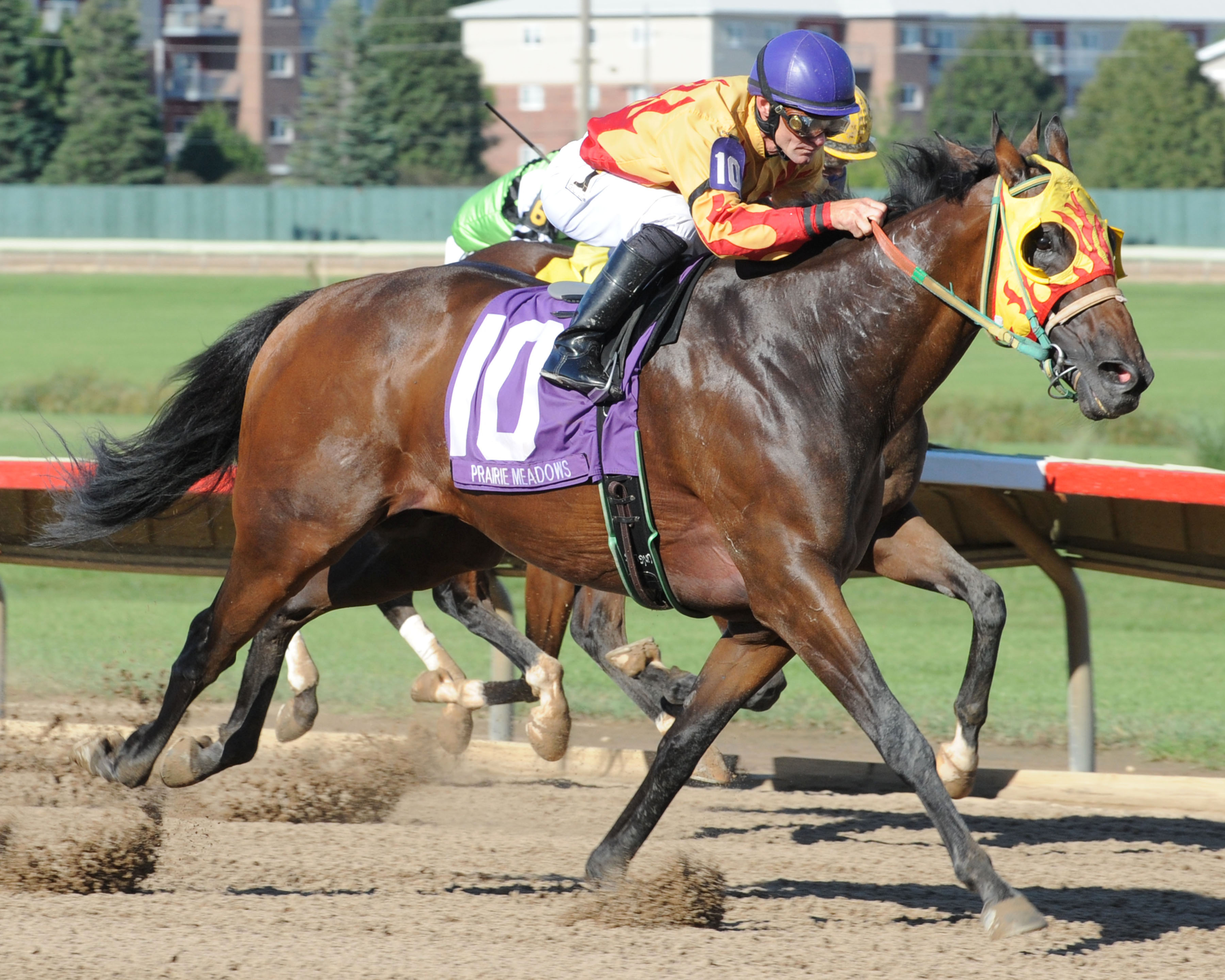 You Funny Man wins the 2016 Dan Johnson Sprint