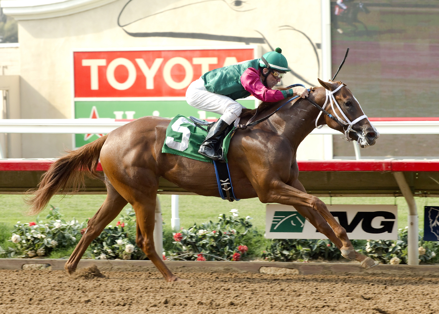 You're Late wins the CTBA Stakes