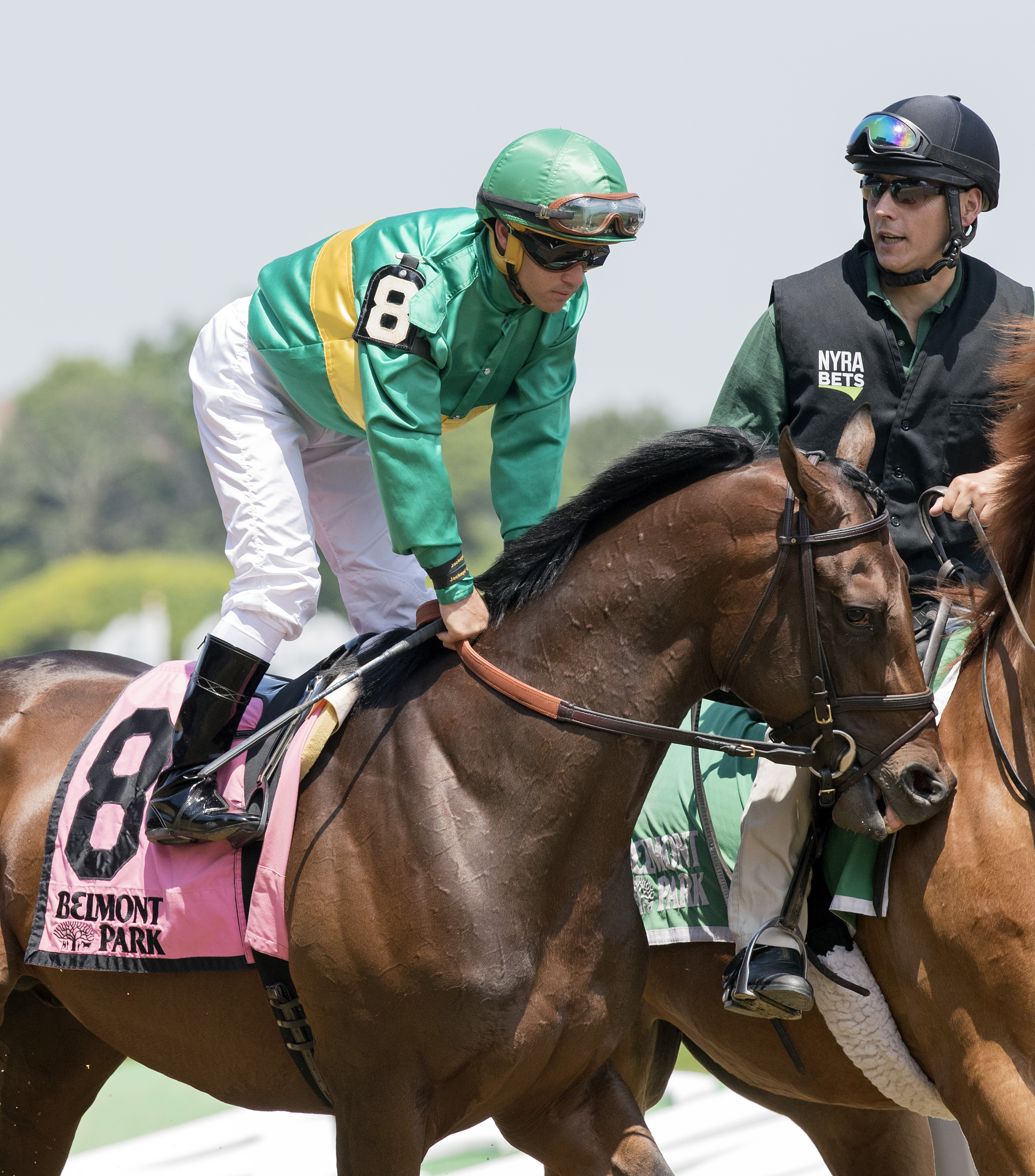 You're to Blame at the 2017 Easy Goer Stakes