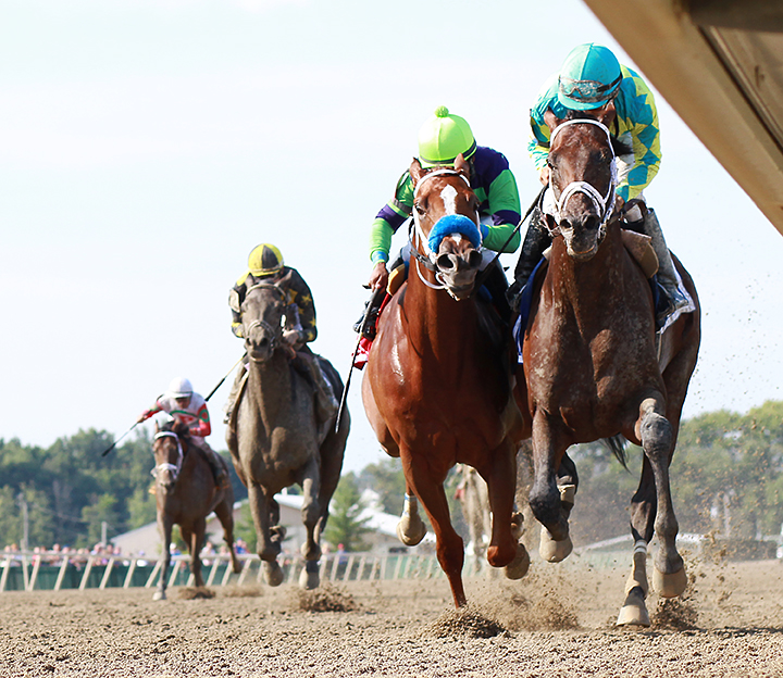 You-re To Blame wins the Greenwood Cup
