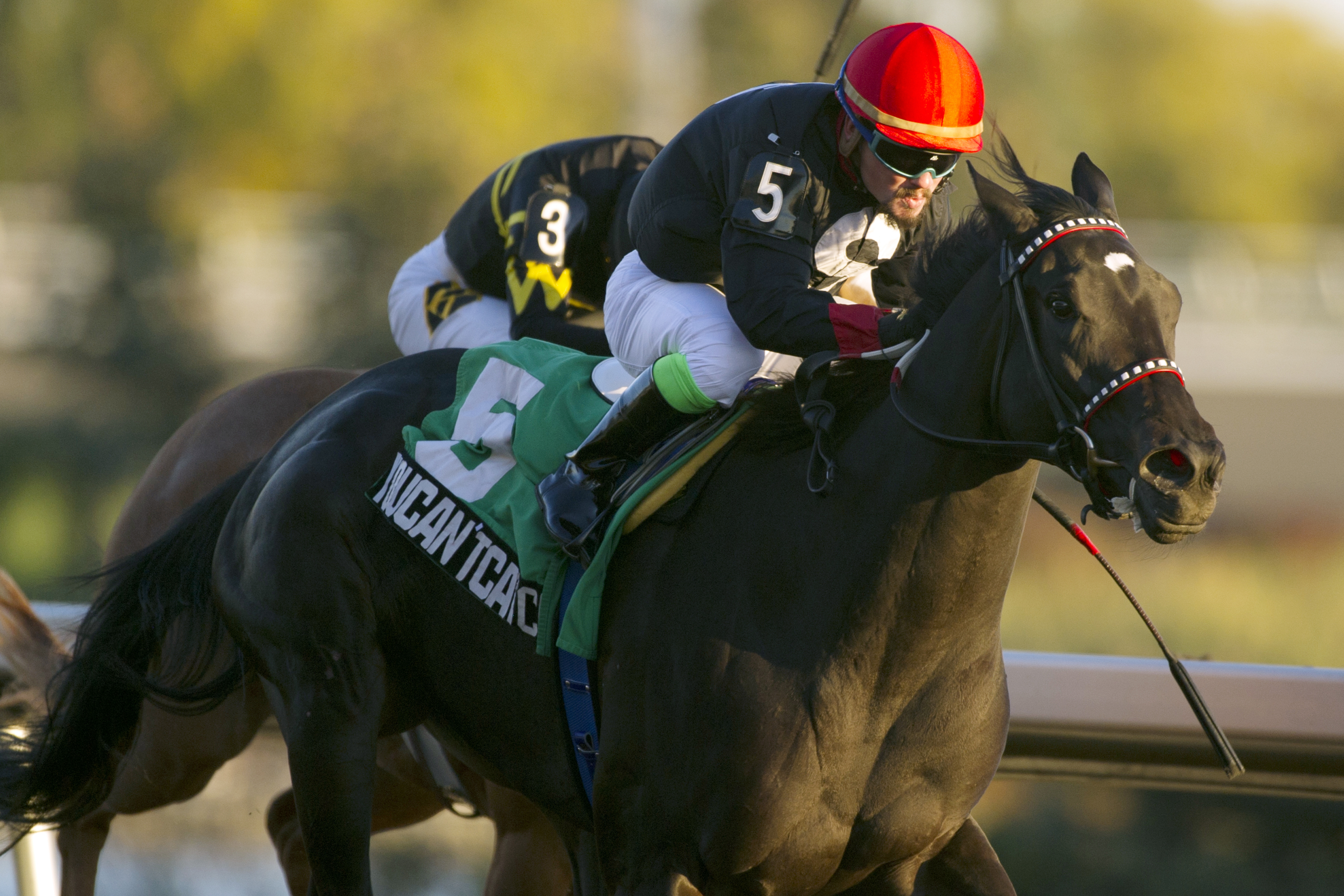 Youcan'tcatchme wins the Ontario Fashion Stakes