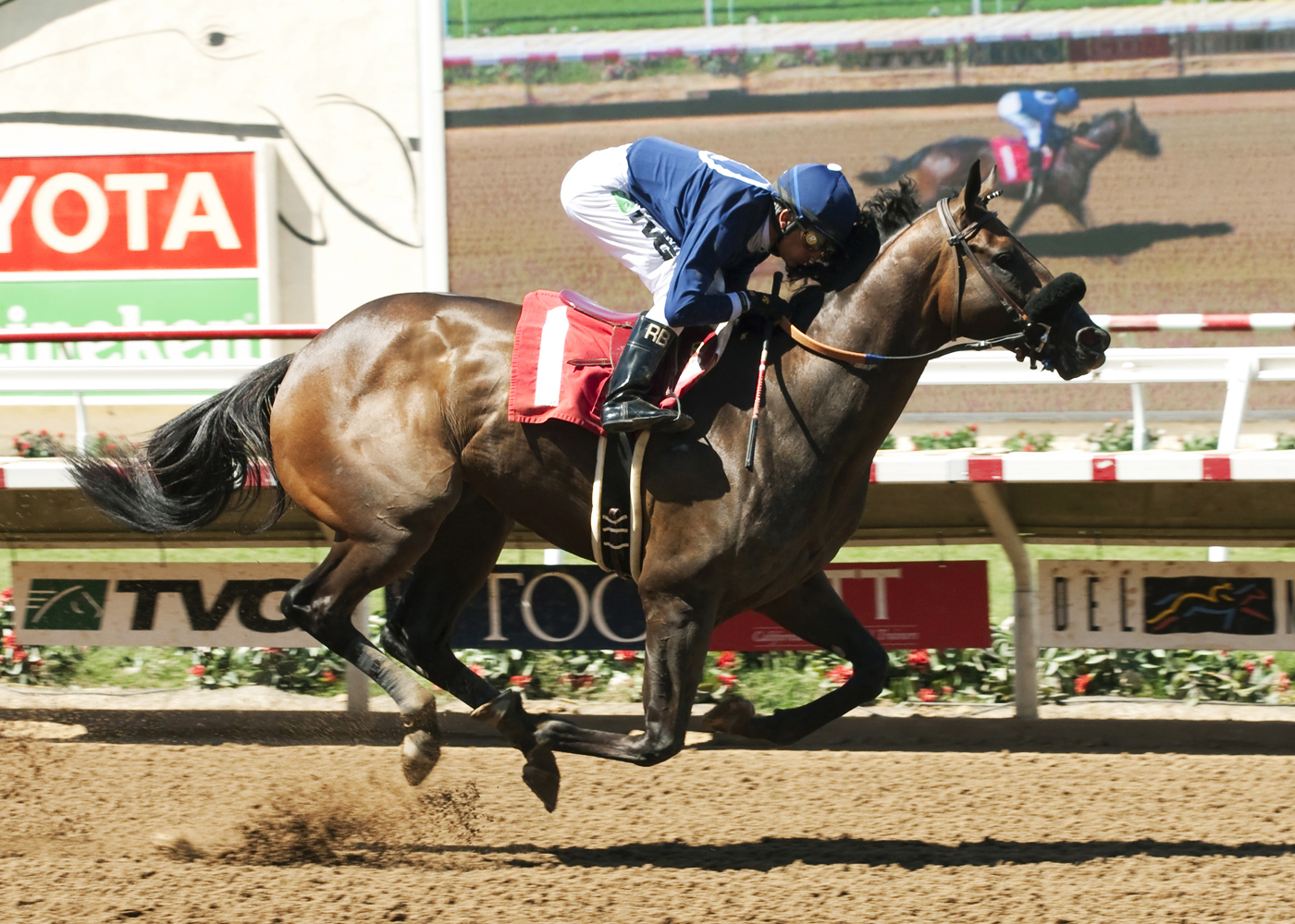 Young Brian wins a maiden race