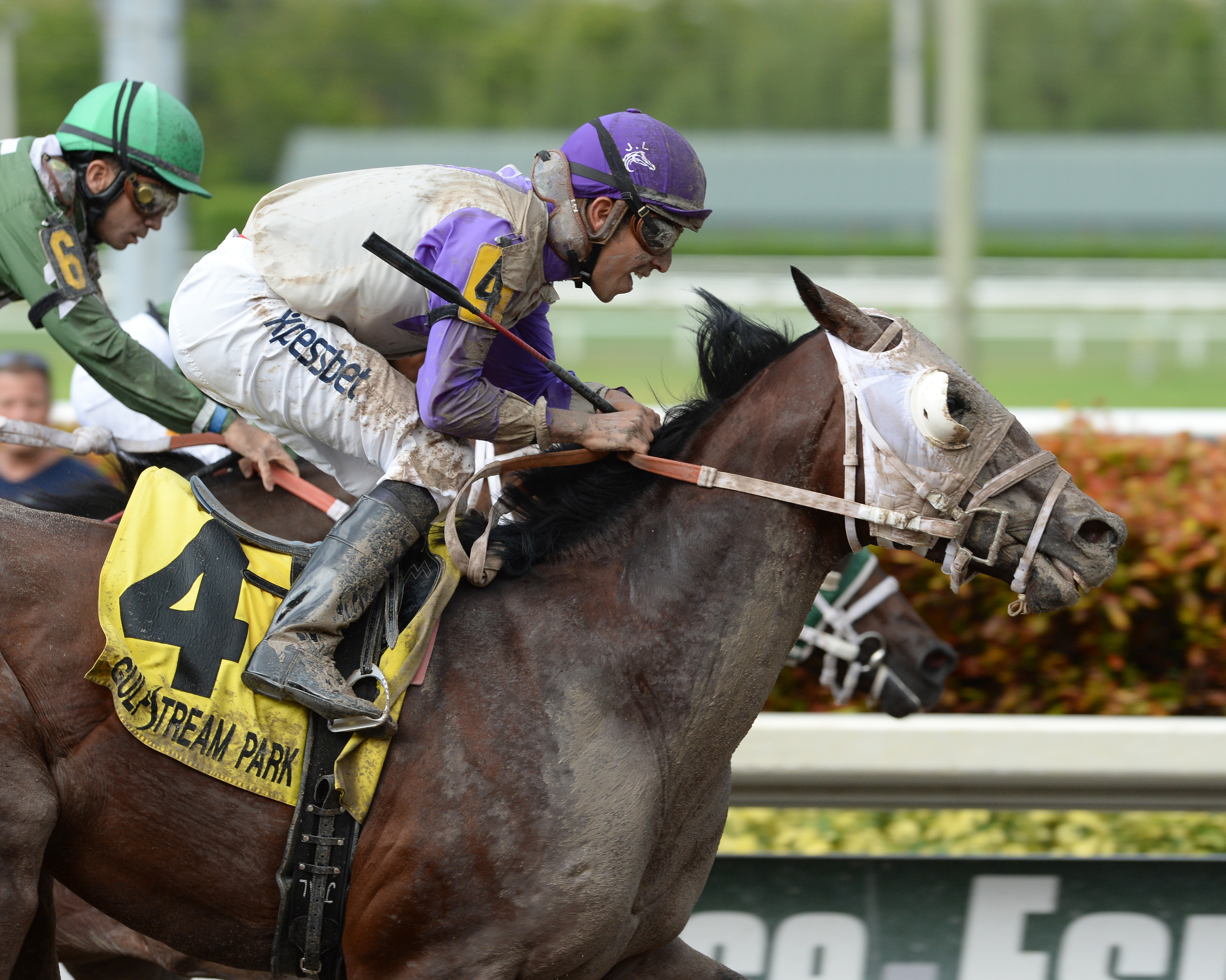 Yourdreamsormine wins 2015 Unbridled