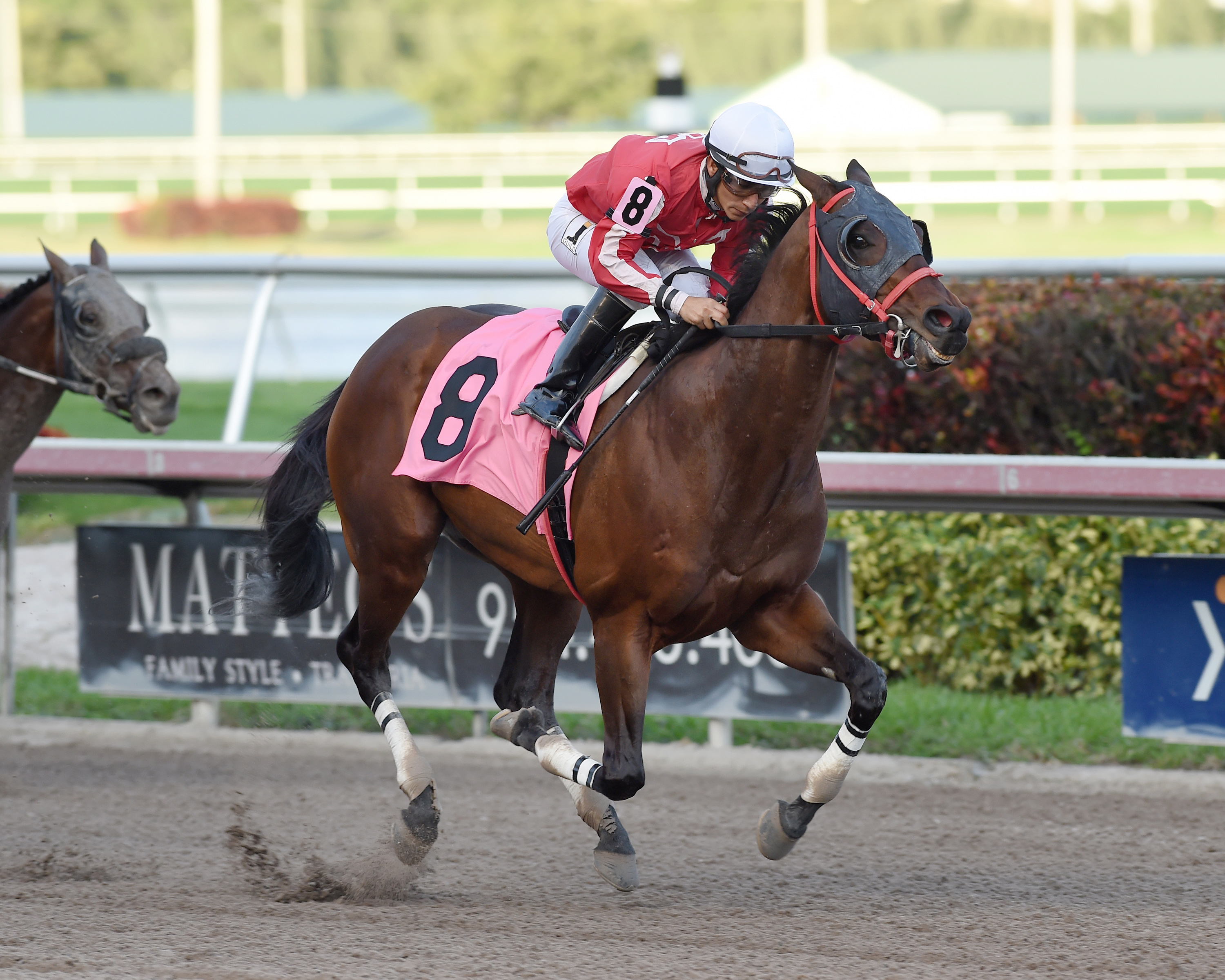 Yourdreamsormine wins a Dec. 4, 2016 allowance