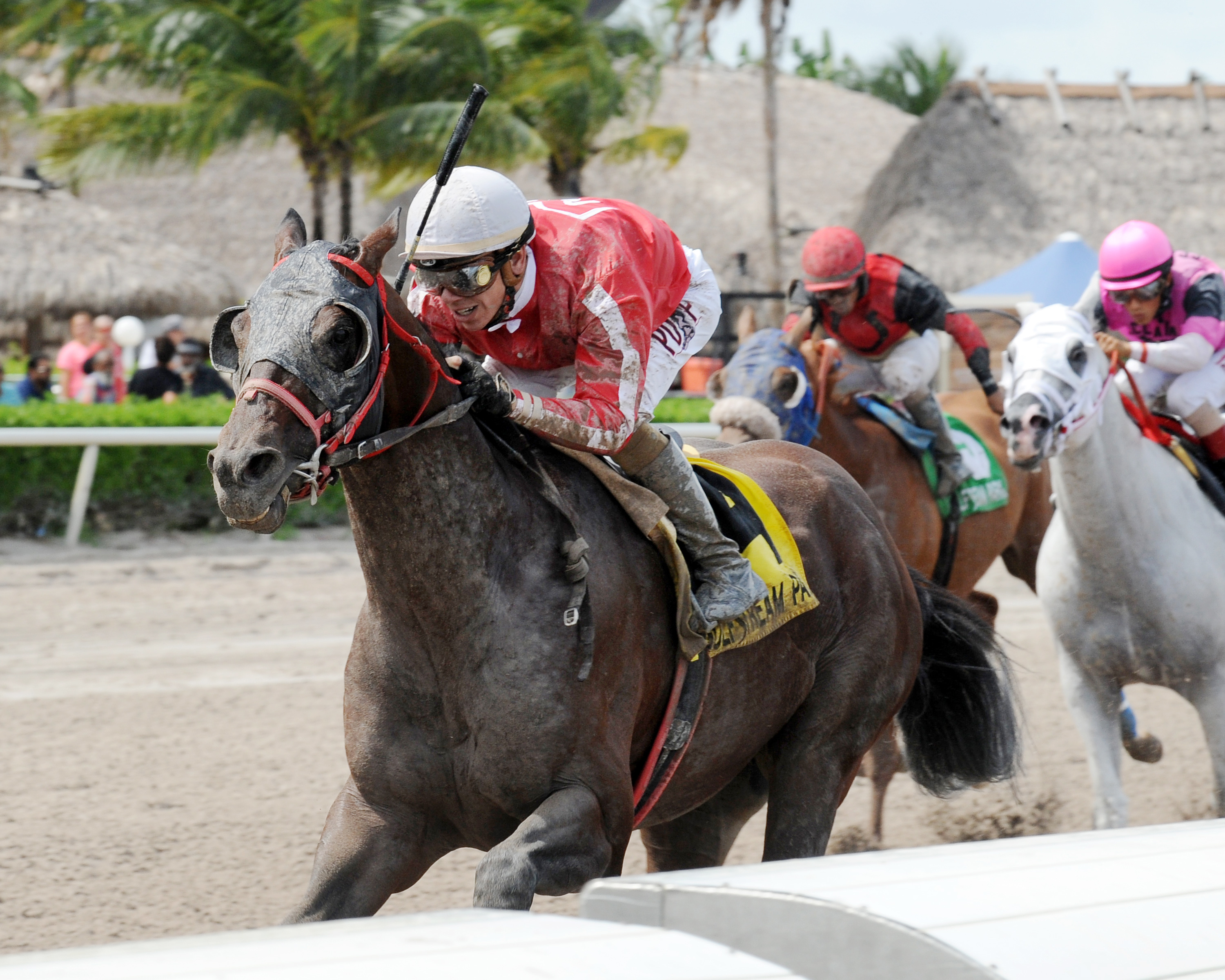 Yourdreamsormine wins the Groomstick