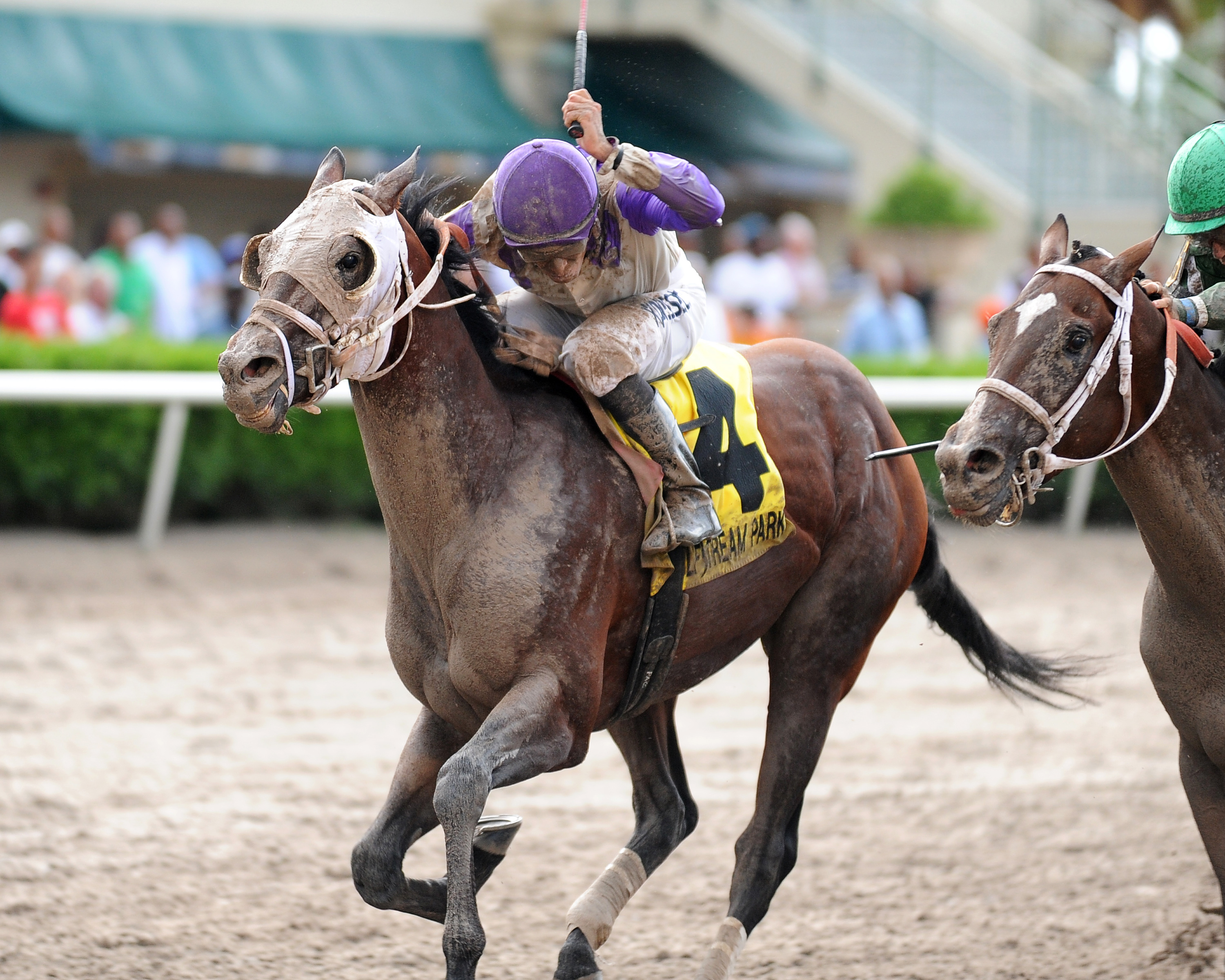 Yourdreamsormine wins the Florida Sire Unbridled Stakes