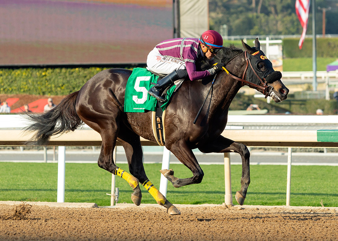 Youteyourhonor wins a Jan. 8 allowance at Santa Anita