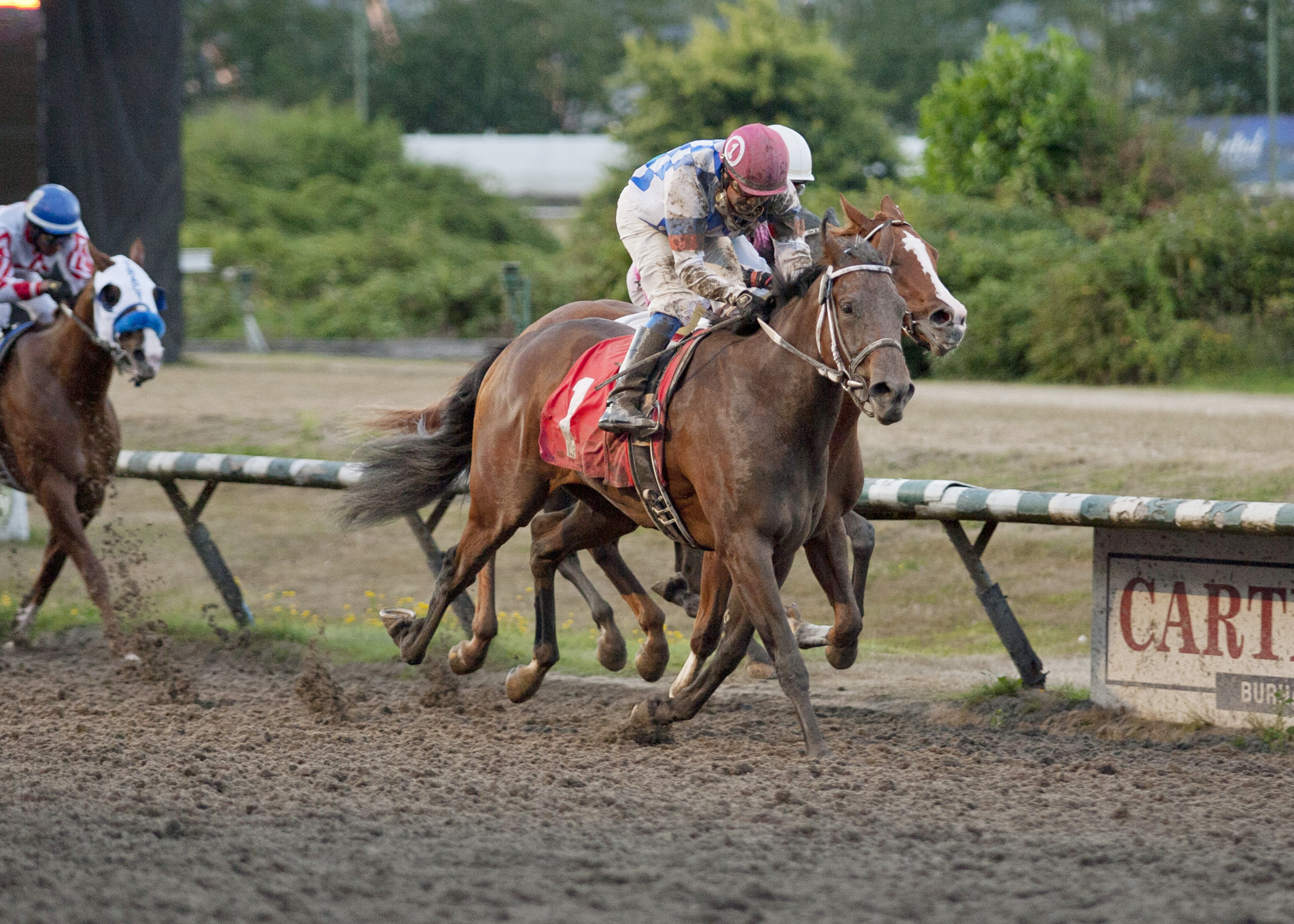 Yukon Belle wins the CTHS Sales Stakes