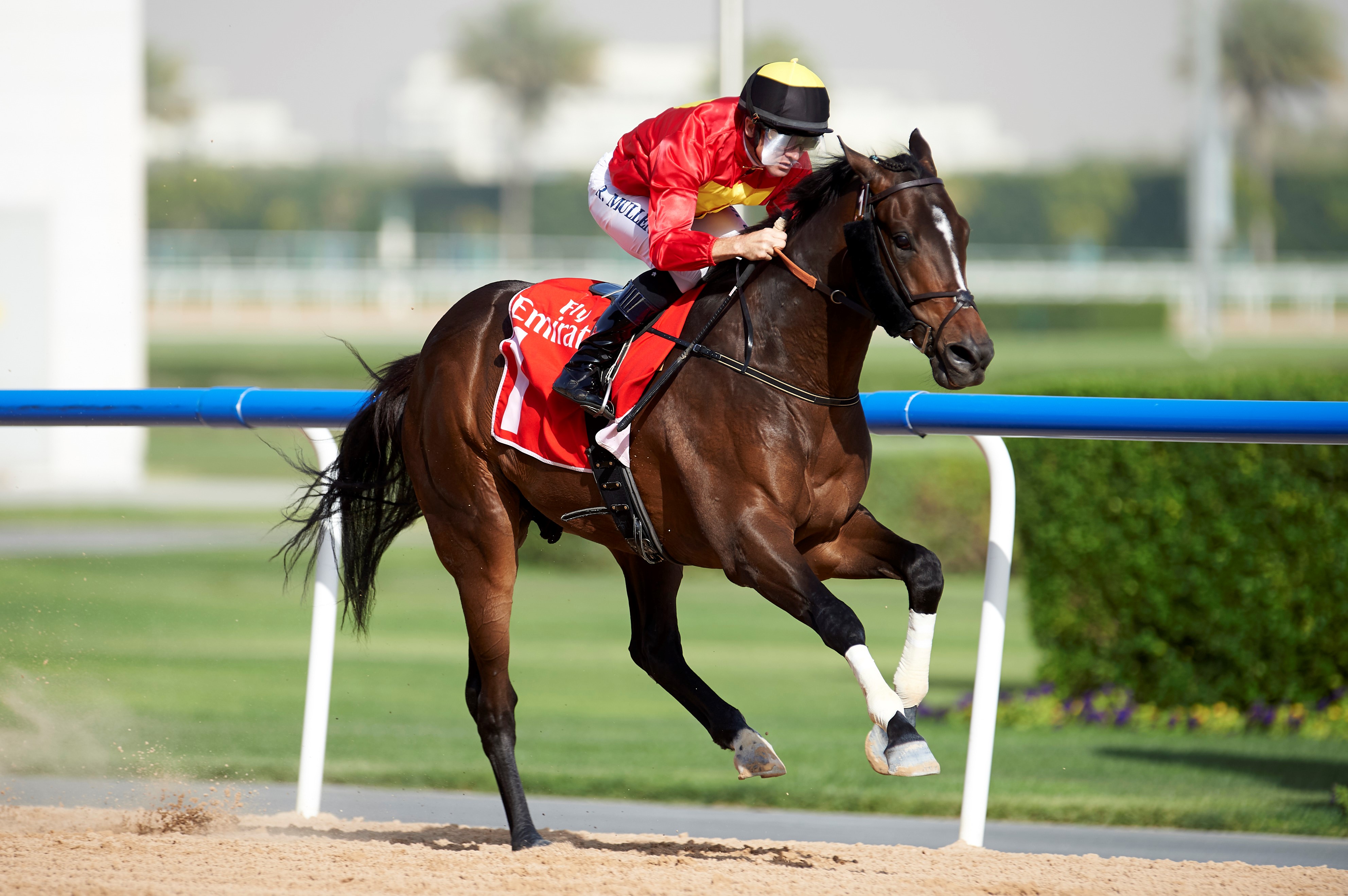 Yulong Warrior wins the 2018 Al Bastakiya Listed