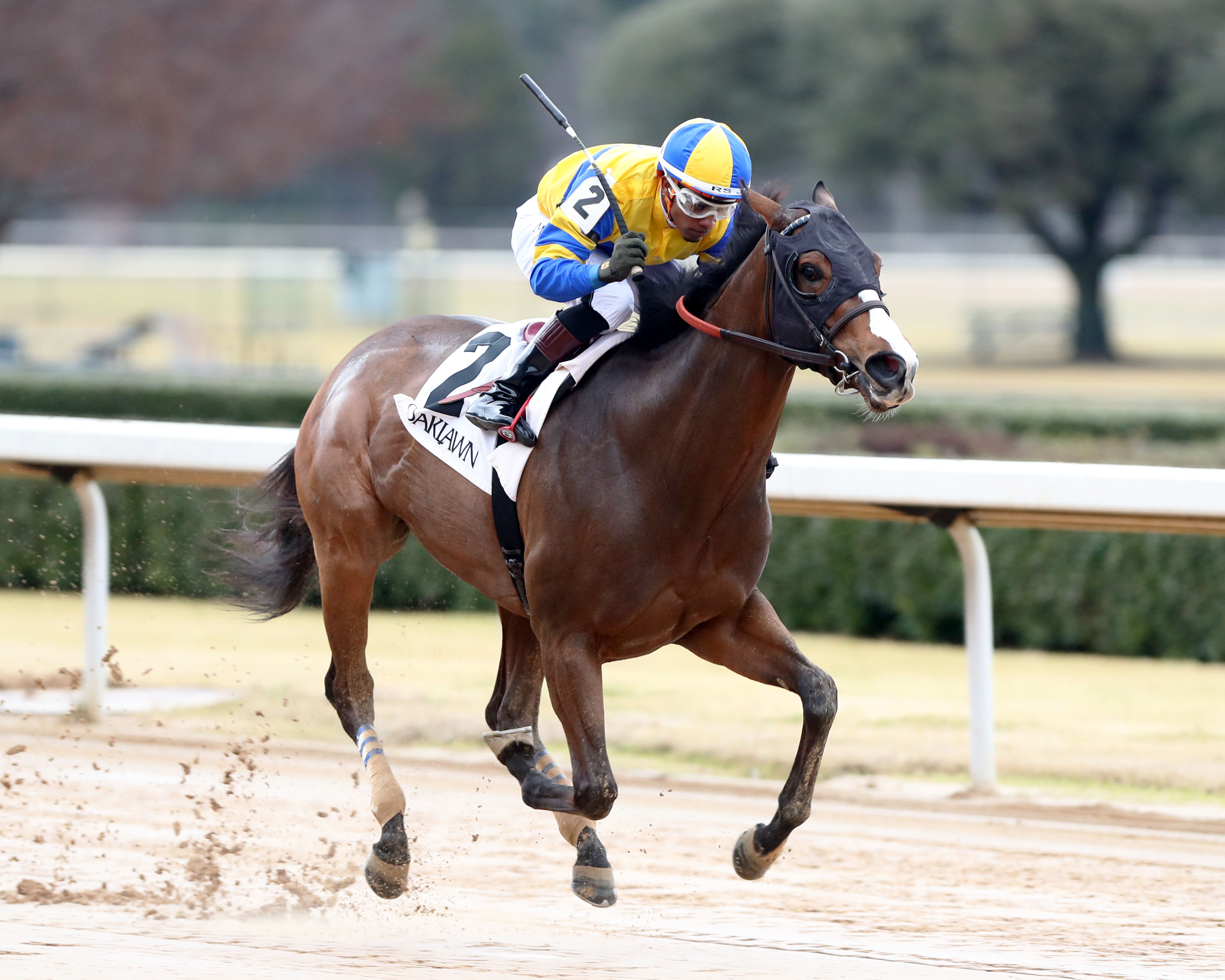 Yuugiri, Dec. 30 Oaklawn allowance