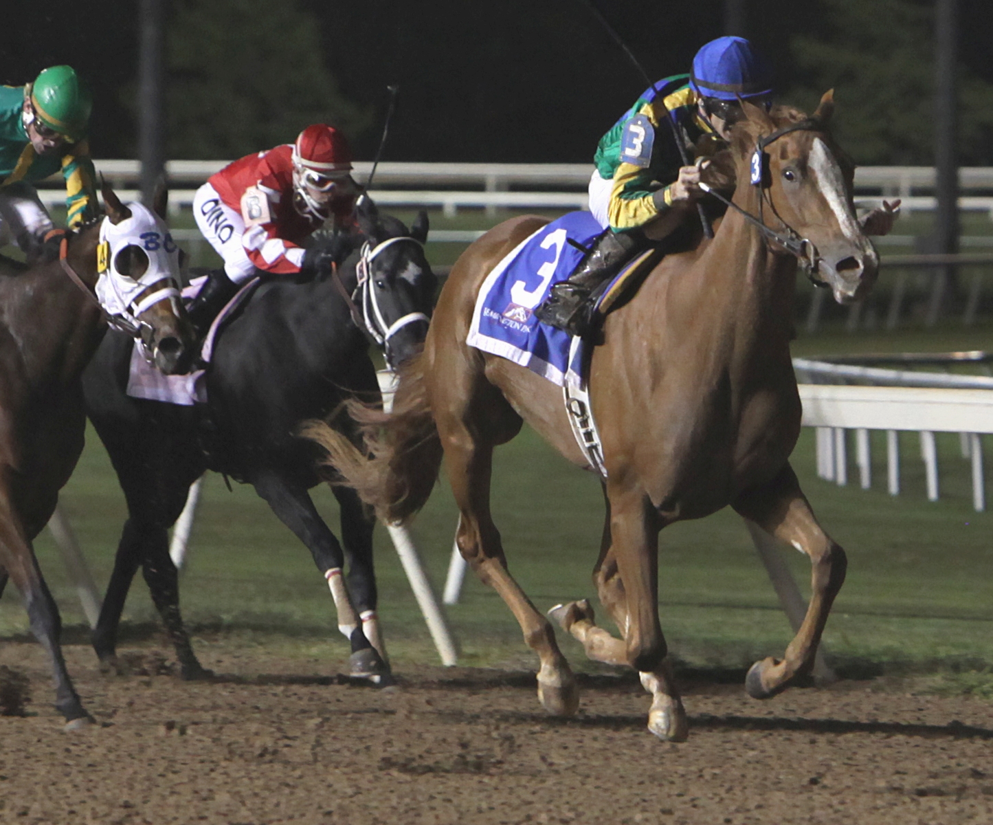 Yvete Sangalo, Gaylord Stakes