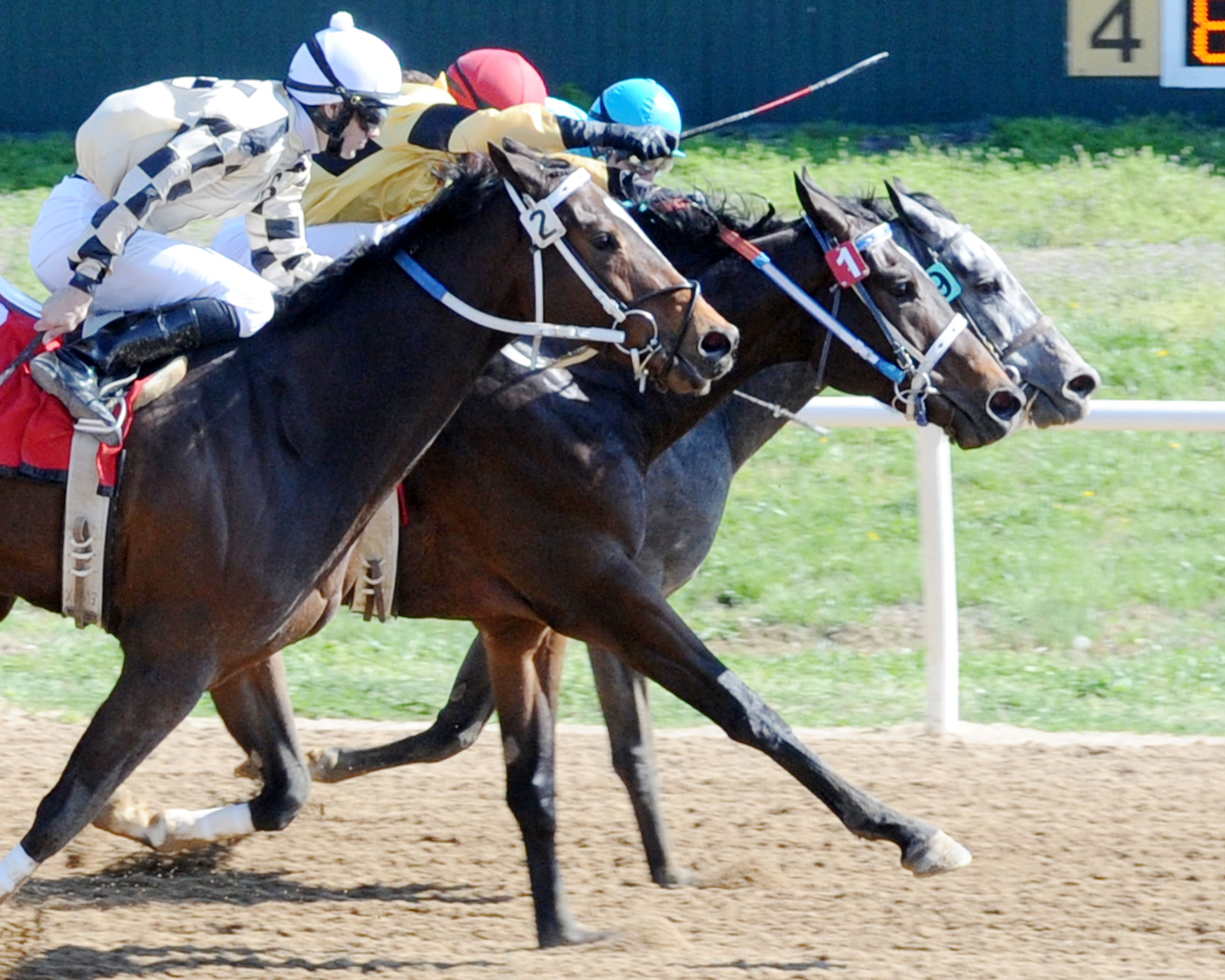 Z Rockstar wins the TRAO Classic Sprint